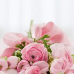 Beautiful Flowers online